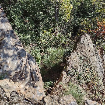 Villa "Kleinstes Haus Von Blankenburg" Urlaub In Einem Einzigartigen Baudenkmal Blankenburg  Esterno foto