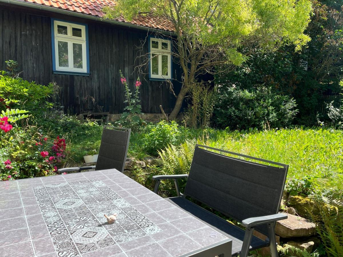 Villa "Kleinstes Haus Von Blankenburg" Urlaub In Einem Einzigartigen Baudenkmal Blankenburg  Esterno foto